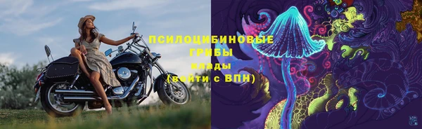альфа пвп Каменногорск