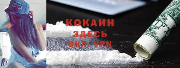 бошки Инта