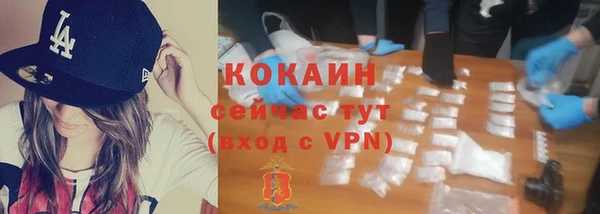 бошки Инта