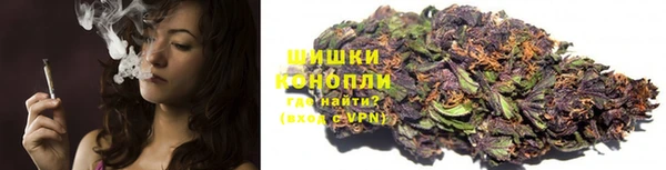 дживик Иннополис