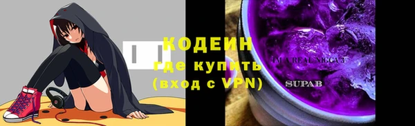дживик Иннополис