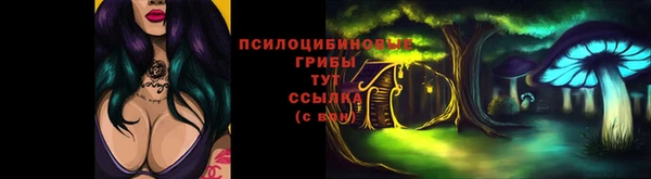 дживик Иннополис