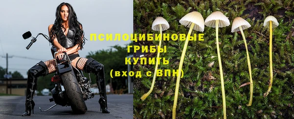 бошки Инта