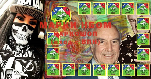бошки Инта