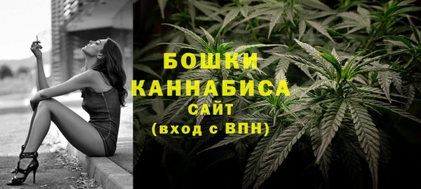 бошки Инта