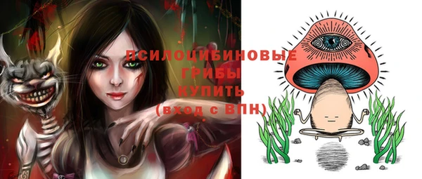 дживик Иннополис