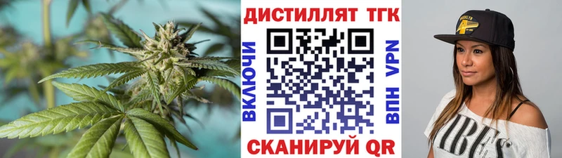 Купить где  Боровск  ТГК концентрат 