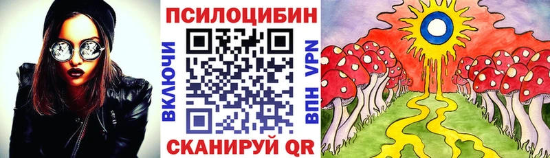 Галлюциногенные грибы Psilocybine cubensis  Купить закладки  Боровск 